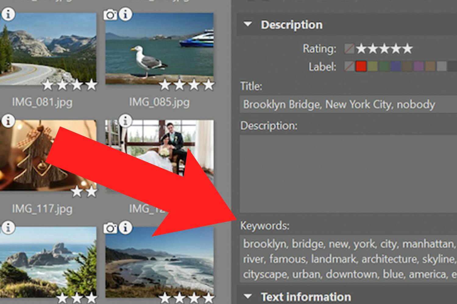 Ge bilderna nyckelord här